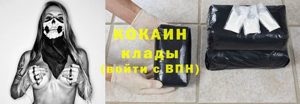 сатива Алзамай