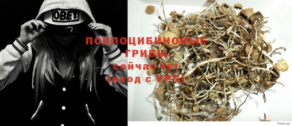 стафф Аркадак