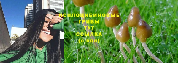 сатива Алзамай