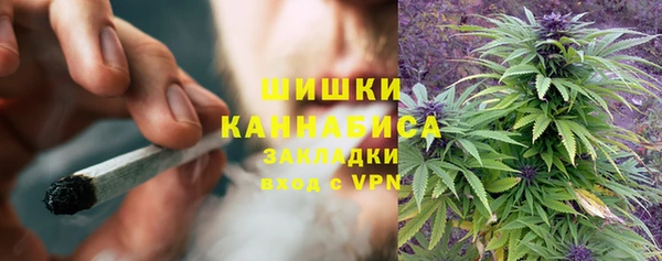 сатива Алзамай